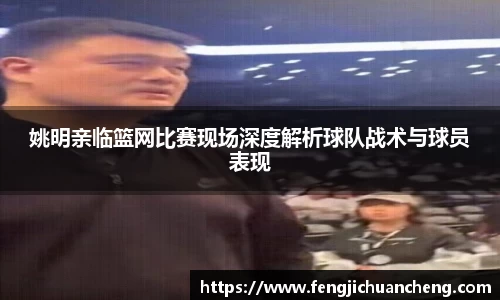 姚明亲临篮网比赛现场深度解析球队战术与球员表现