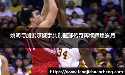 姚明与加索尔携手共创篮球传奇再续辉煌岁月